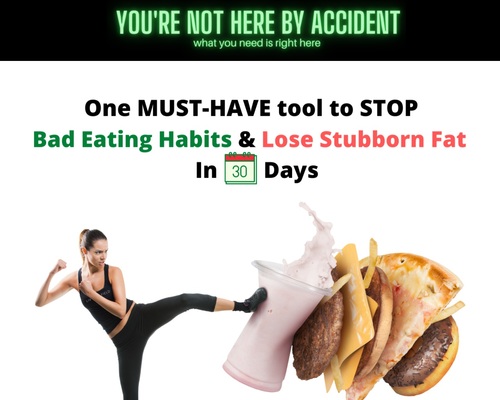 Lose Your Belly Diet Deluxe Program W/ Exclusive Food Journal Included